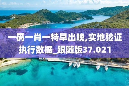 一码一肖一特早出晚,实地验证执行数据_跟随版37.021