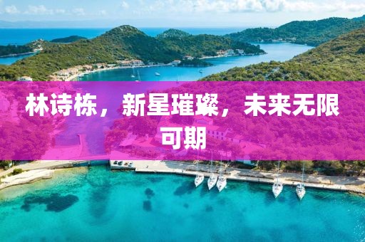 林诗栋，新星璀璨，未来无限可期