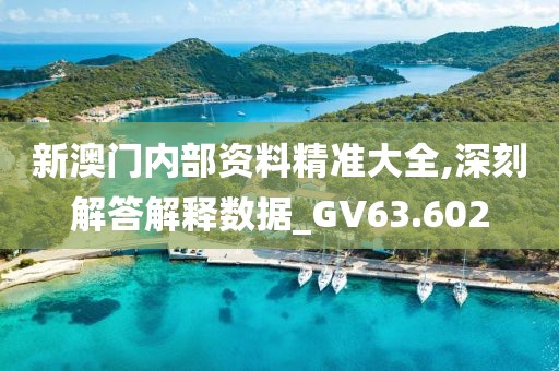 新澳门内部资料精准大全,深刻解答解释数据_GV63.602