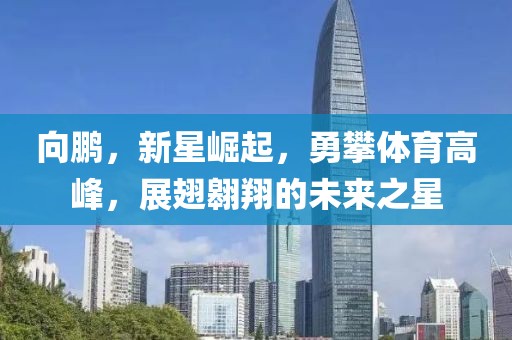 向鹏，新星崛起，勇攀体育高峰，展翅翱翔的未来之星