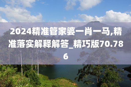 2024精准管家婆一肖一马,精准落实解释解答_精巧版70.786