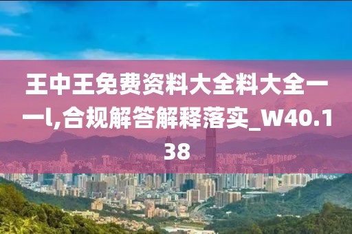 王中王免费资料大全料大全一一l,合规解答解释落实_W40.138