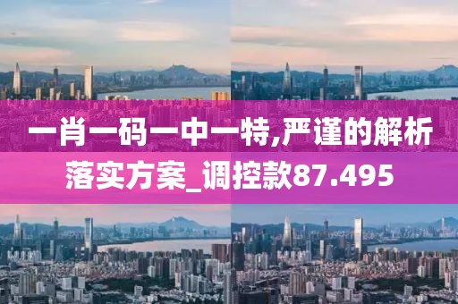 一肖一码一中一特,严谨的解析落实方案_调控款87.495
