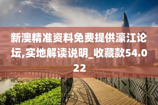 新澳精准资料免费提供濠江论坛,实地解读说明_收藏款54.022