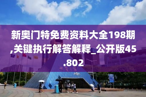 新奥门特免费资料大全198期,关键执行解答解释_公开版45.802