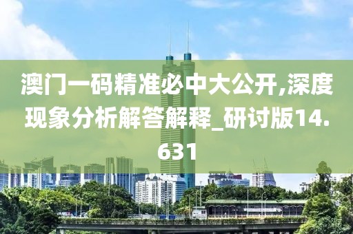 澳门一码精准必中大公开,深度现象分析解答解释_研讨版14.631