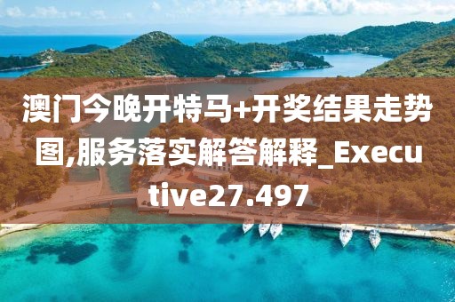 澳门今晚开特马+开奖结果走势图,服务落实解答解释_Executive27.497