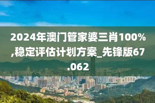 2024年澳门管家婆三肖100%,稳定评估计划方案_先锋版67.062