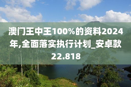 澳门王中王100%的资料2024年,全面落实执行计划_安卓款22.818