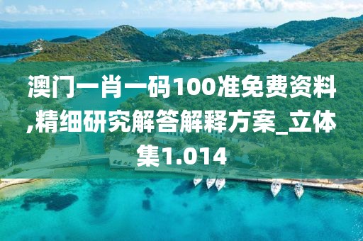 澳门一肖一码100准免费资料,精细研究解答解释方案_立体集1.014