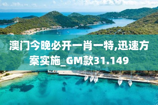 澳门今晚必开一肖一特,迅速方案实施_GM款31.149