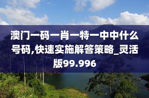 澳门一码一肖一特一中中什么号码,快速实施解答策略_灵活版99.996