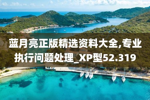 蓝月亮正版精选资料大全,专业执行问题处理_XP型52.319