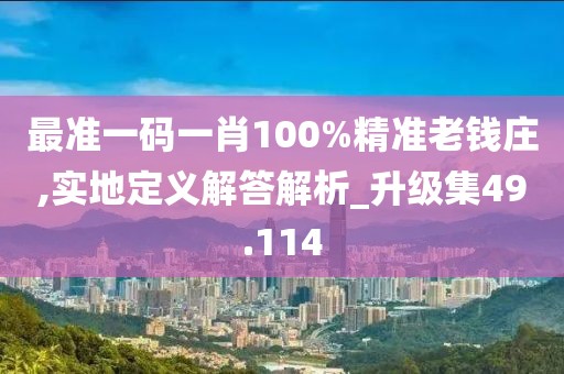 最准一码一肖100%精准老钱庄,实地定义解答解析_升级集49.114