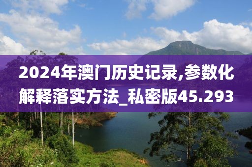 2024年澳门历史记录,参数化解释落实方法_私密版45.293