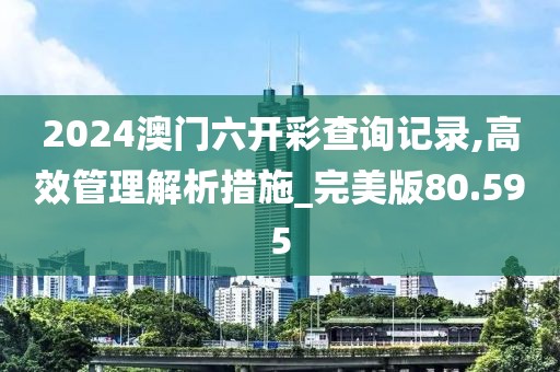 2024澳门六开彩查询记录,高效管理解析措施_完美版80.595