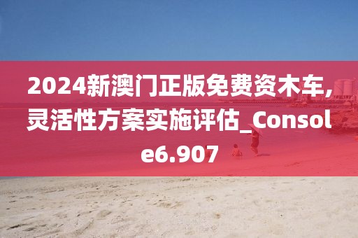 2024新澳门正版免费资木车,灵活性方案实施评估_Console6.907
