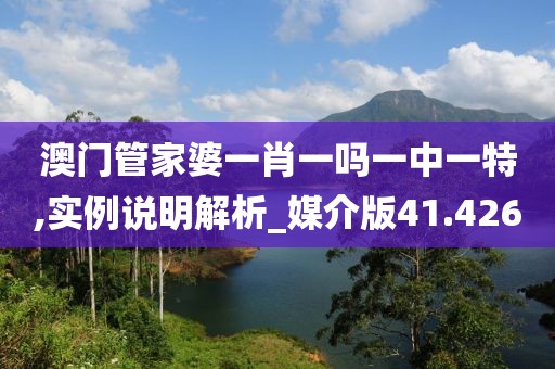 澳门管家婆一肖一吗一中一特,实例说明解析_媒介版41.426