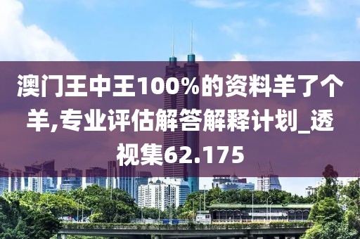 澳门王中王100%的资料羊了个羊,专业评估解答解释计划_透视集62.175