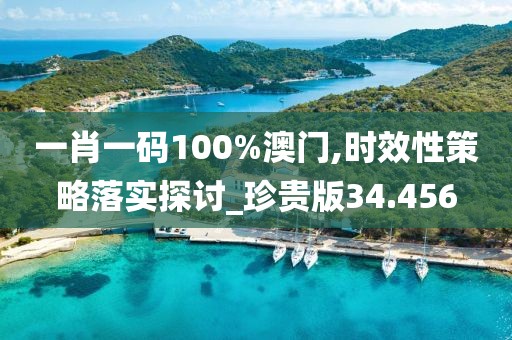 一肖一码100%澳门,时效性策略落实探讨_珍贵版34.456