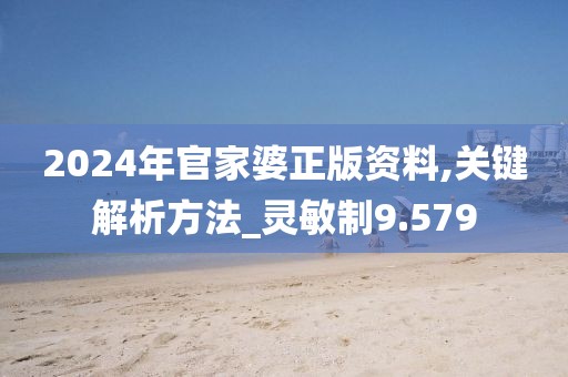 2024年官家婆正版资料,关键解析方法_灵敏制9.579