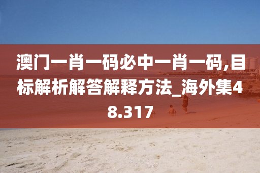 澳门一肖一码必中一肖一码,目标解析解答解释方法_海外集48.317