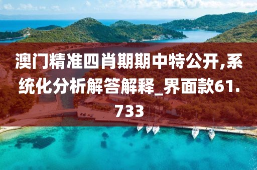 澳门精准四肖期期中特公开,系统化分析解答解释_界面款61.733