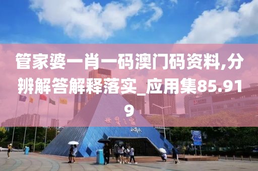 管家婆一肖一码澳门码资料,分辨解答解释落实_应用集85.919