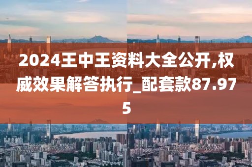 2024王中王资料大全公开,权威效果解答执行_配套款87.975