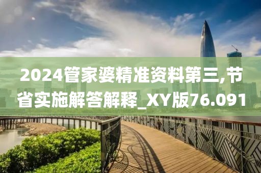 2024管家婆精准资料第三,节省实施解答解释_XY版76.091