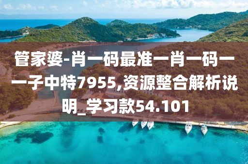 2024年11月 第2944页