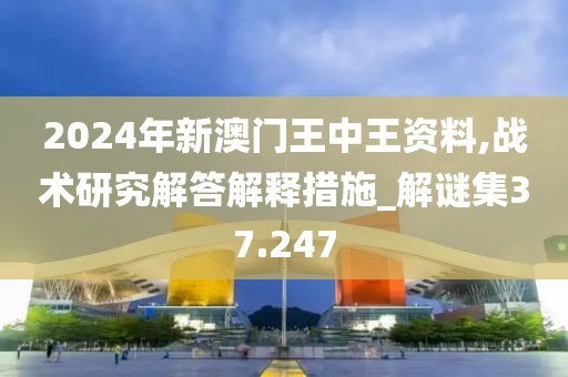 2024年新澳门王中王资料,战术研究解答解释措施_解谜集37.247