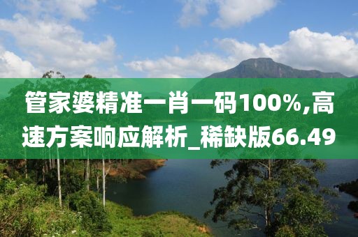 管家婆精准一肖一码100%,高速方案响应解析_稀缺版66.49