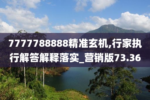 7777788888精准玄机,行家执行解答解释落实_营销版73.36