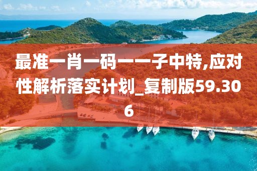 最准一肖一码一一子中特,应对性解析落实计划_复制版59.306