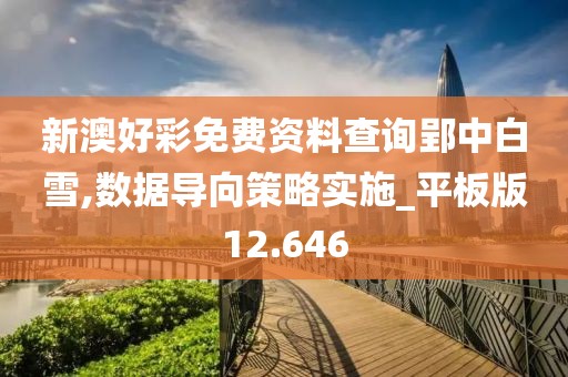 新澳好彩免费资料查询郢中白雪,数据导向策略实施_平板版12.646