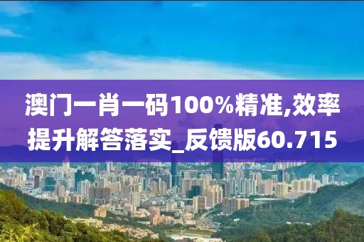 澳门一肖一码100%精准,效率提升解答落实_反馈版60.715