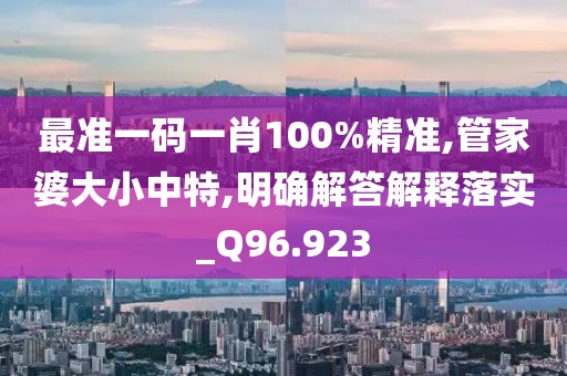 最准一码一肖100%精准,管家婆大小中特,明确解答解释落实_Q96.923