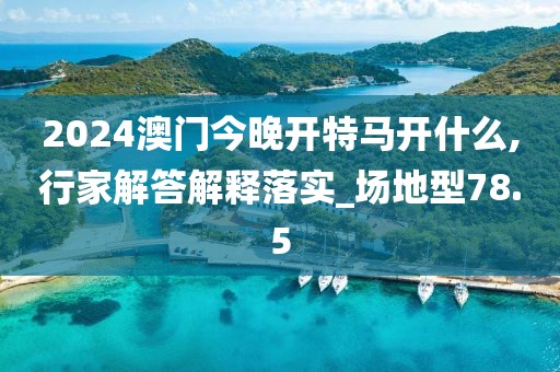 2024澳门今晚开特马开什么,行家解答解释落实_场地型78.5