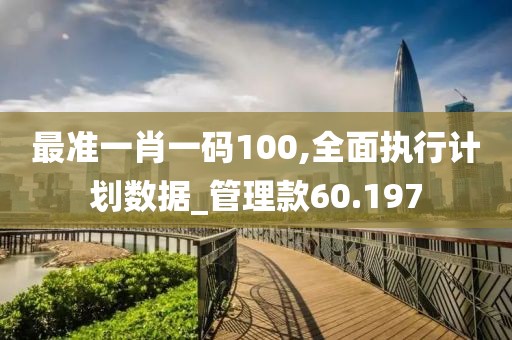 最准一肖一码100,全面执行计划数据_管理款60.197