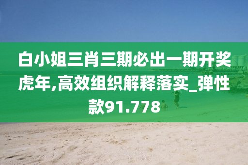 白小姐三肖三期必出一期开奖虎年,高效组织解释落实_弹性款91.778