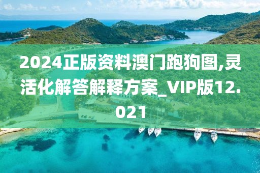 2024正版资料澳门跑狗图,灵活化解答解释方案_VIP版12.021