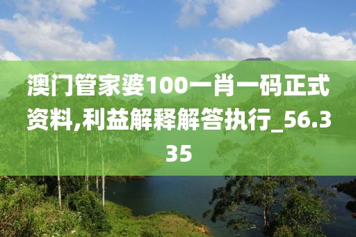 澳门管家婆100一肖一码正式资料,利益解释解答执行_56.335
