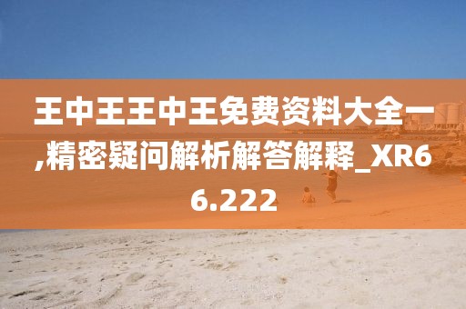 王中王王中王免费资料大全一,精密疑问解析解答解释_XR66.222