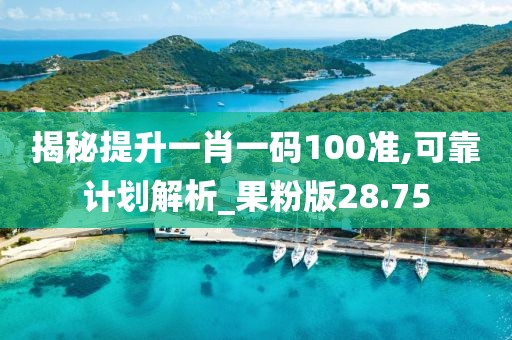 揭秘提升一肖一码100准,可靠计划解析_果粉版28.75