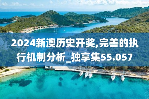 2024新澳历史开奖,完善的执行机制分析_独享集55.057