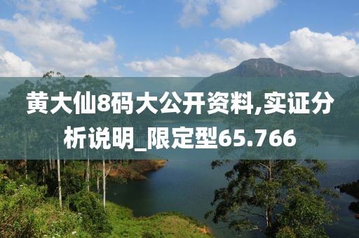 黄大仙8码大公开资料,实证分析说明_限定型65.766