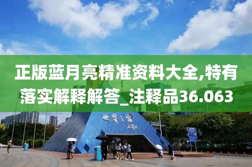 正版蓝月亮精准资料大全,特有落实解释解答_注释品36.063