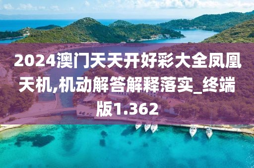 2024澳门天天开好彩大全凤凰天机,机动解答解释落实_终端版1.362