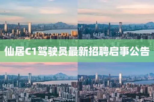 竹舒兰 第6页